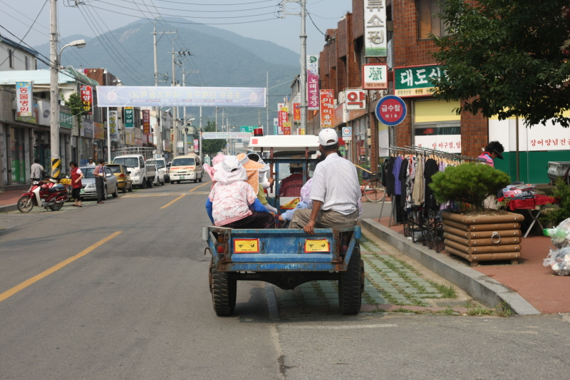 인물사진